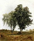 John Frederick Kensett A Study of Trees painting